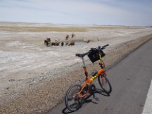 Near Uyuni, Bolivia 