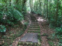 Trail at Monteverde Cloud Forest Reserve.