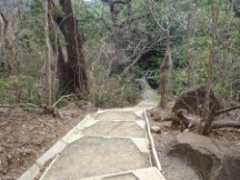Trail at Rincón de la Vieja National Park.