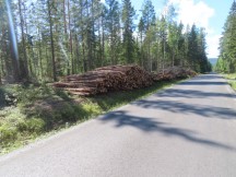 Timber logs next to the road between Stigsjö, Sweden and Åsäng, Sweden.