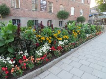 Garden near canal across from Baltic Sea inlet in Hudiksvall, Sweden.