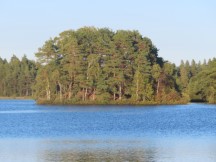 Island on lake next to Sjotorpets Camping in Markaryd, Sweden.
