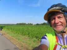 Ted next to hemp field between Christdorf and Kyritz, Germany.