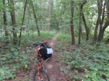 Ted's bike pulling trailer on hiking trail used to get around the flooded section of the main biking trail between Leipzig and Hohenleuben, Germany.